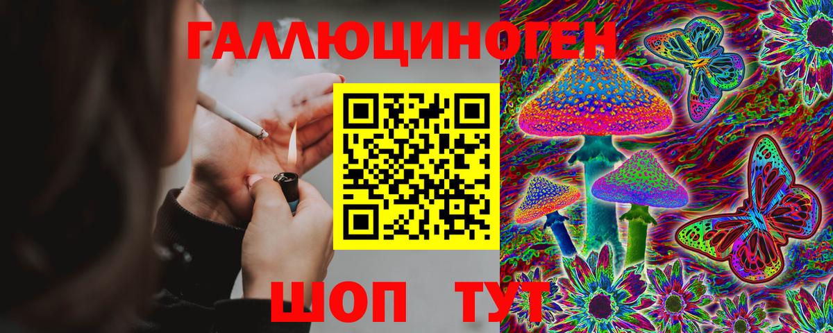 Галлюциногенные грибы прущие грибы Великий Новгород