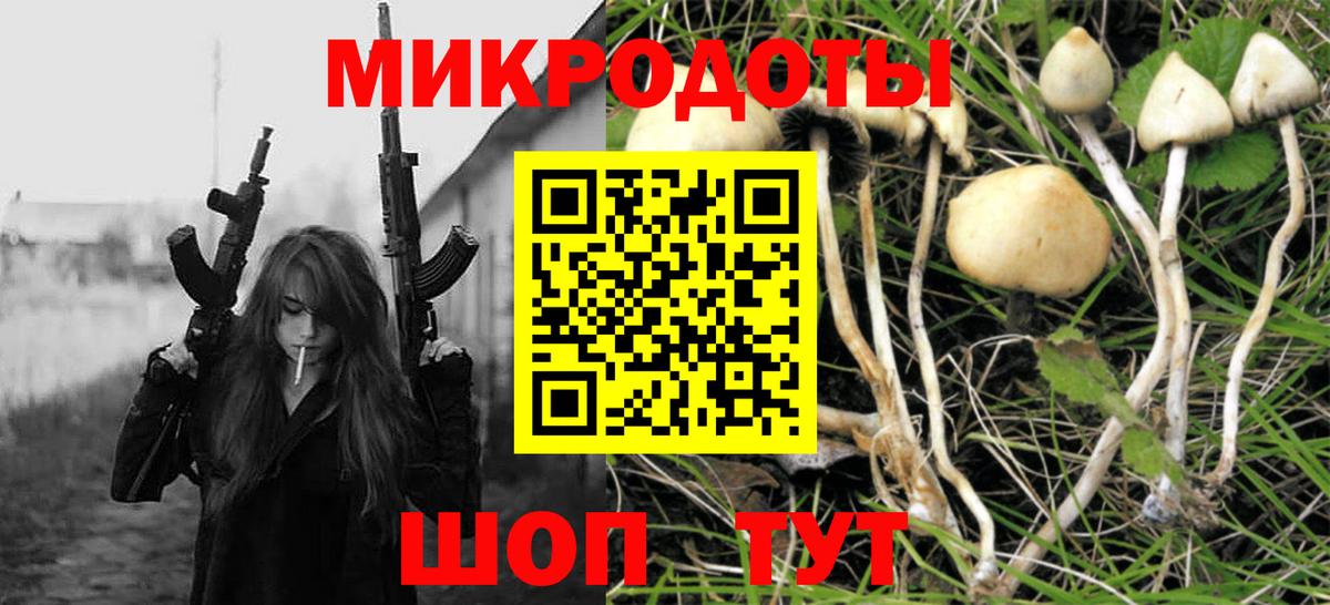 Псилоцибиновые грибы Magic Shrooms  Псилоцибиновые грибы прущие грибы  Великий Новгород  наркотики  Вход с VPN 